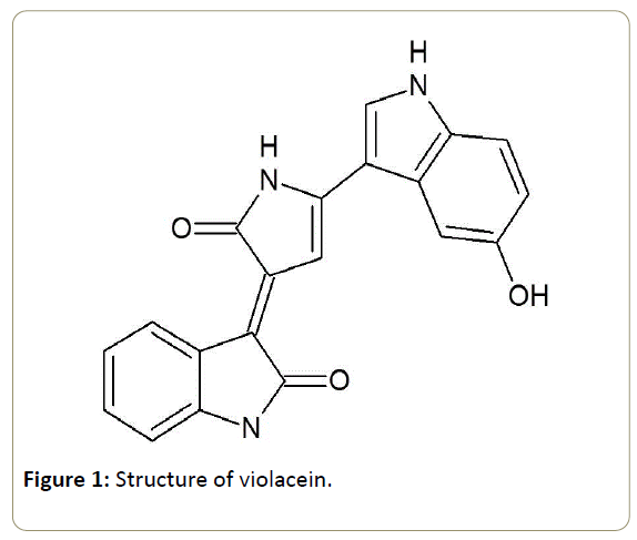 in-silico-in-vitro-pharmacology-Structure-violacein