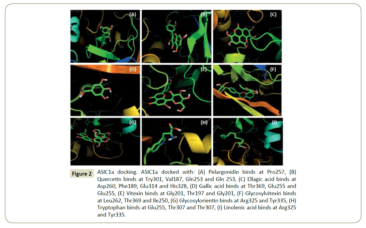 in-silico-in-vitro-pharmacology-Tryptophan-binds