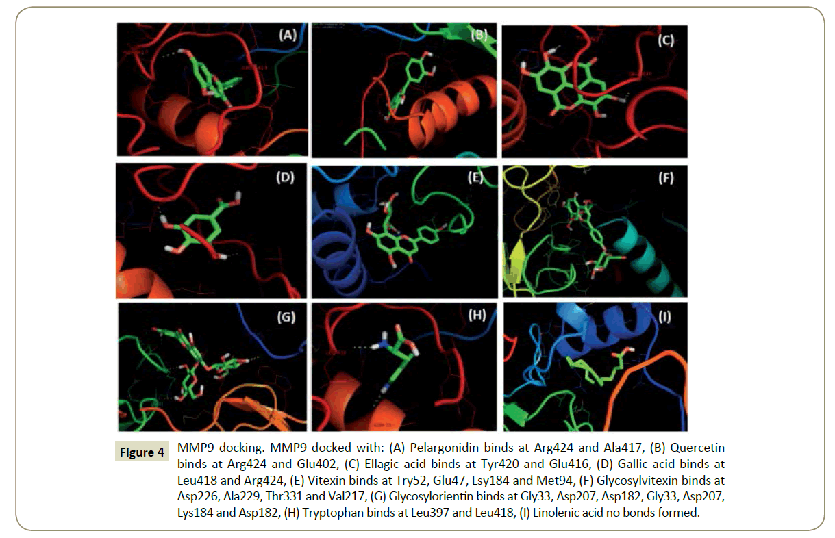 in-silico-in-vitro-pharmacology-Tryptophan-binds