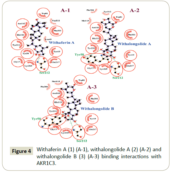 in-silico-in-vitro-pharmacology-binding-interactions