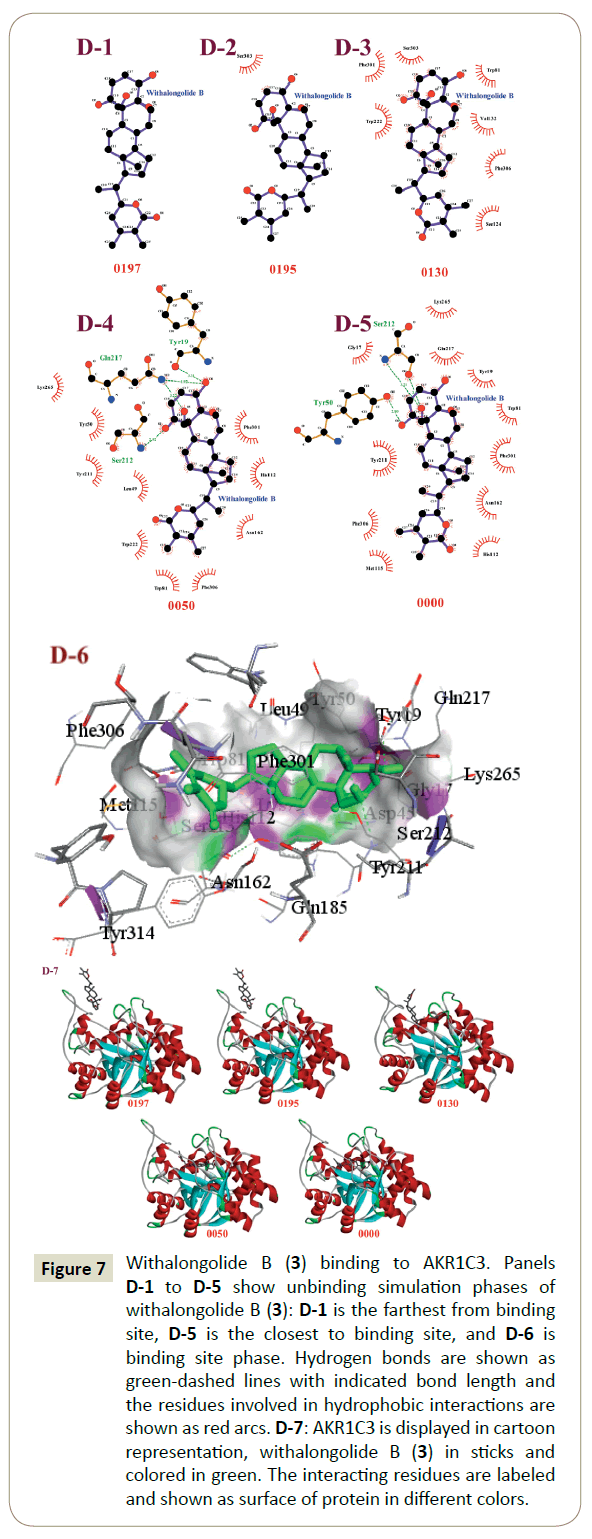 in-silico-in-vitro-pharmacology-binding-site