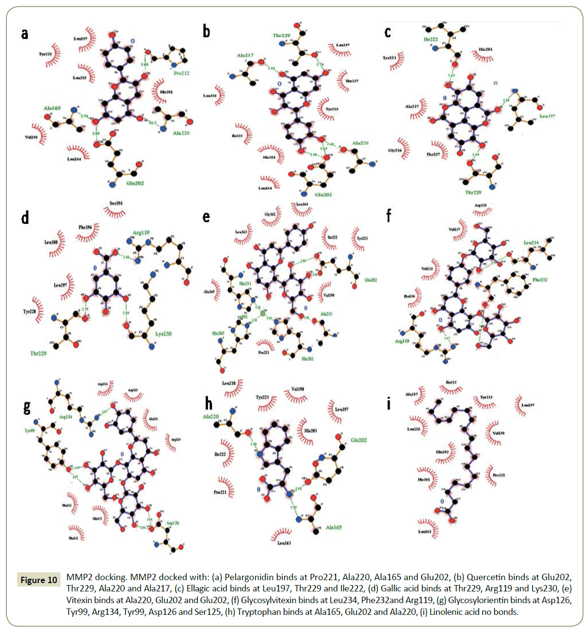 in-silico-in-vitro-pharmacology-binds-Leu