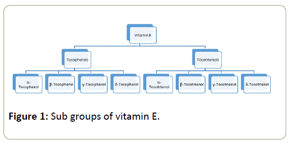 in-silico-in-vitro-pharmacology-groups-vitamin