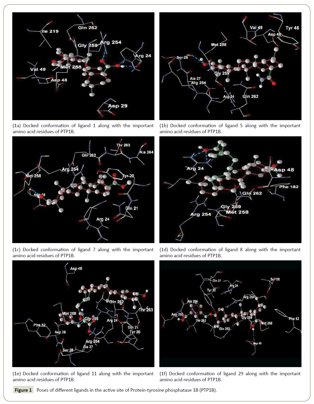 in-silico-in-vitro-pharmacology-phosphatase