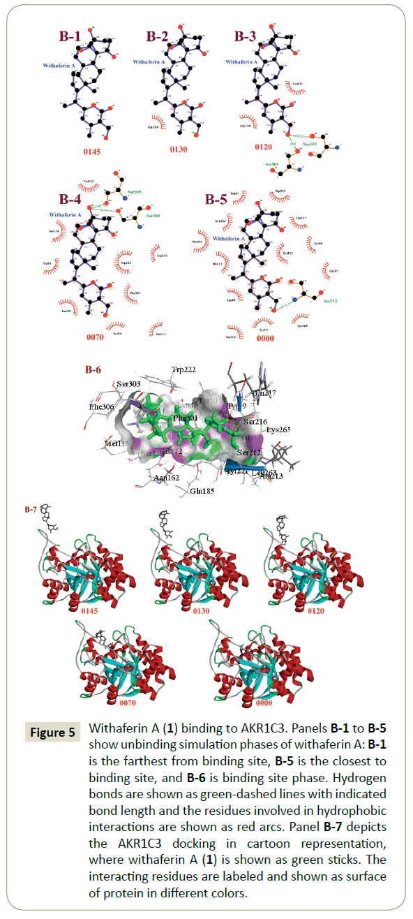 in-silico-in-vitro-pharmacology-simulation-phases