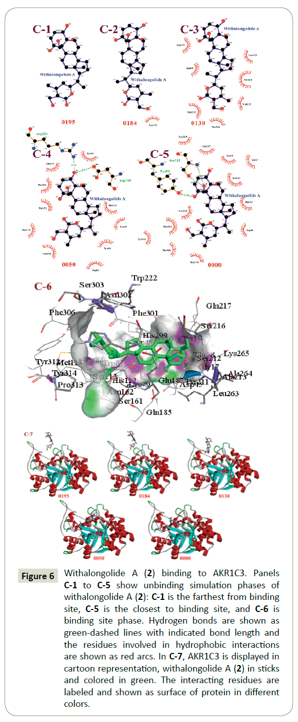 in-silico-in-vitro-pharmacology-surface-protein