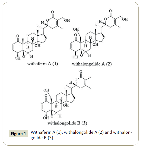 in-silico-in-vitro-pharmacology-withalongolide