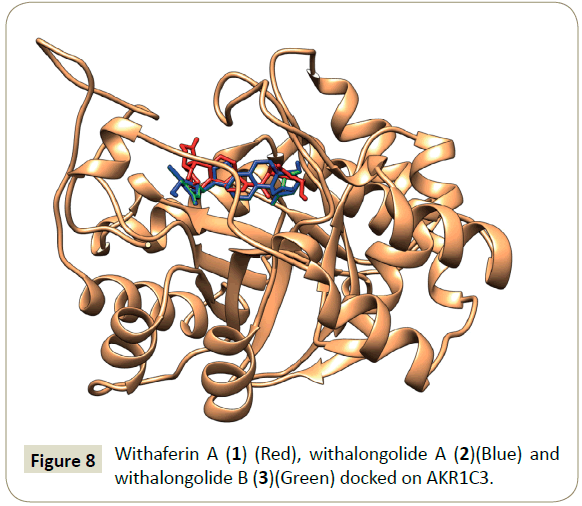 in-silico-in-vitro-pharmacology-withalongolide