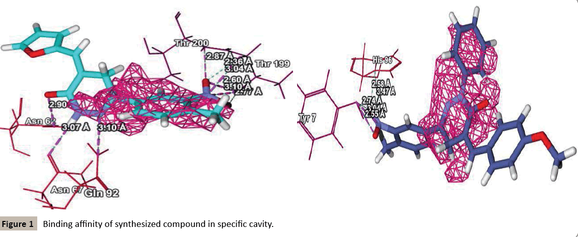 pharmacology-Binding-affinity-synthesized