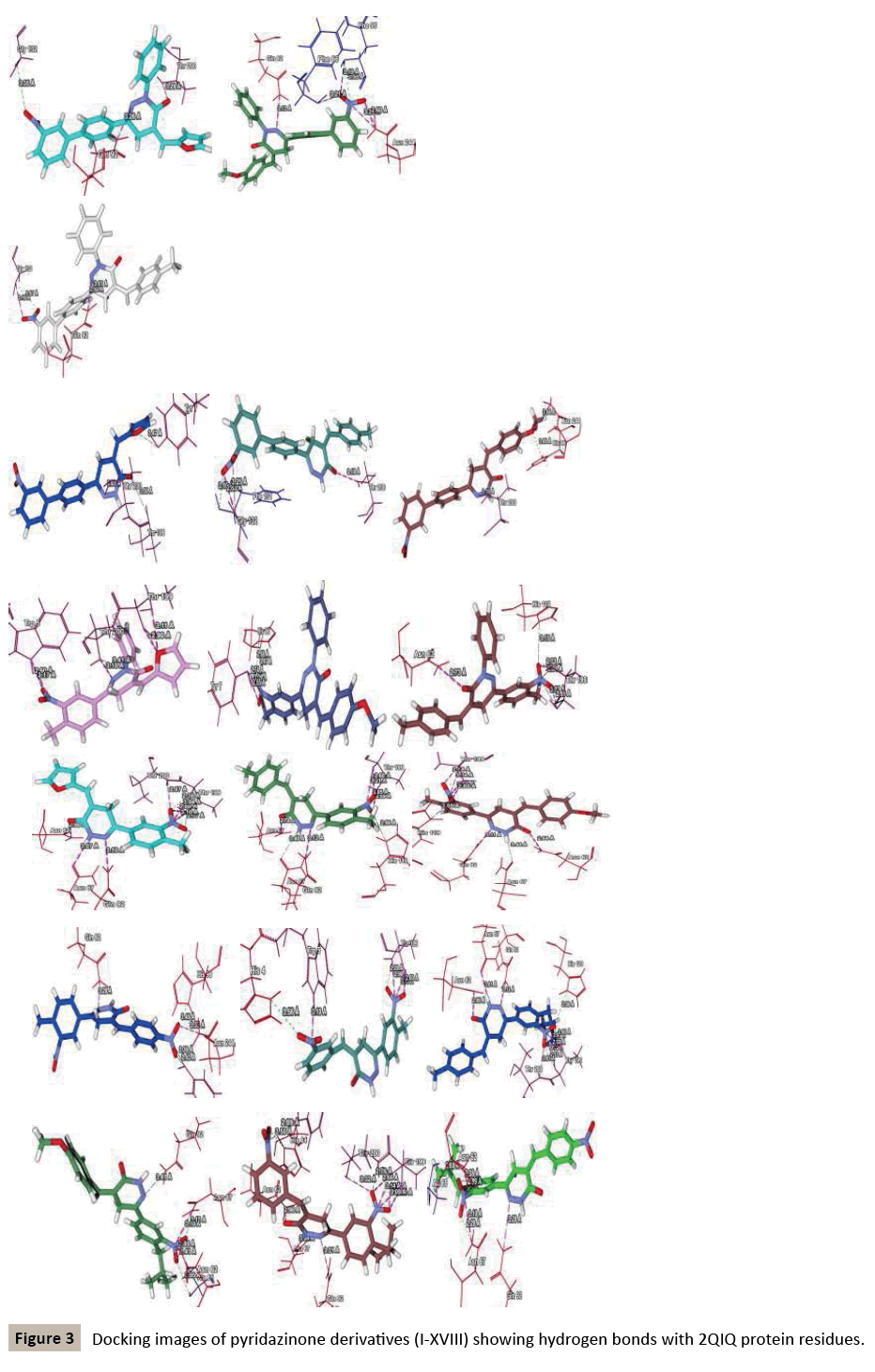 pharmacology-Docking-images-pyridazinone