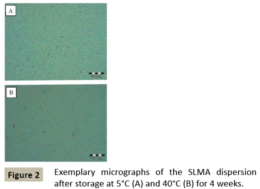 pharmacology-Exemplary-micrographs-SLMA