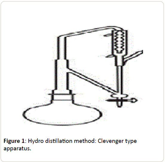 pharmacology-Hydro-distillation-method