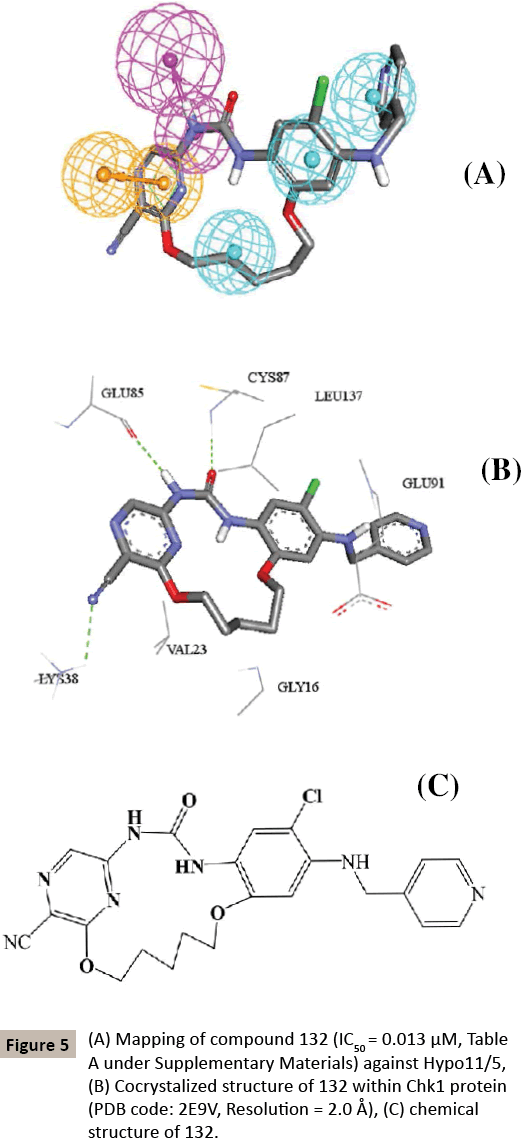 pharmacology-Mapping-compound