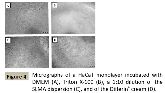 pharmacology-Micrographs-HaCaT-monolayer