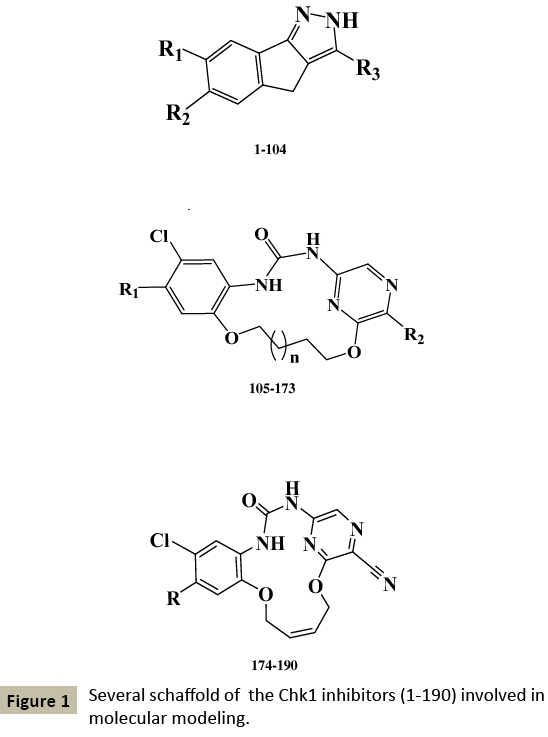 pharmacology-Several-schaffold-Chk1