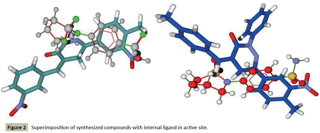 pharmacology-Superimposition-synthesized-compounds