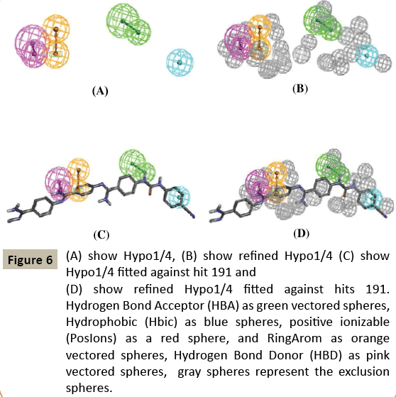 pharmacology-show-Hypo-refined